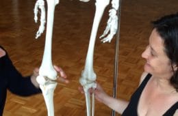Dimanche 4 novembre : Stage de Body-Mind Centering® et danse-improvisation