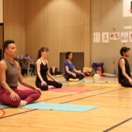 Lancement d’une formation de yoga, à partir du 26 novembre !