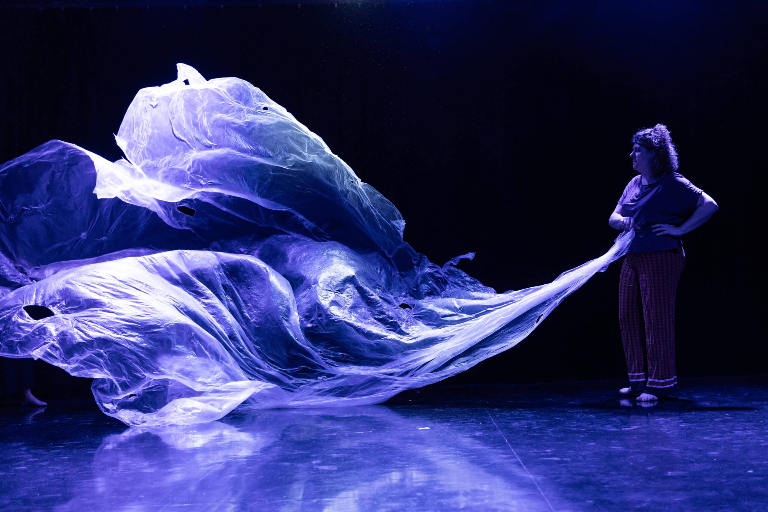 Spectacle de danse "Ensemble(s)"